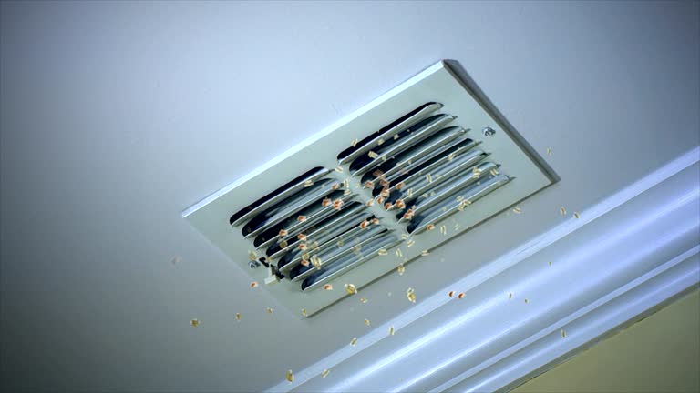 Best Commercial Air Duct Cleaning  in Lincoln, ID