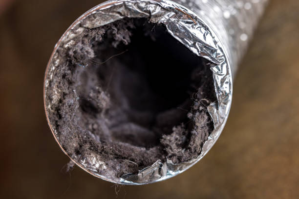 Best Ventilation Cleaning Services  in Lincoln, ID